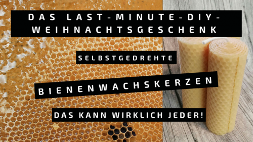 DIY Weihnachtsgeschenk Bienenwachskerze