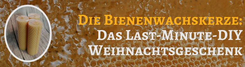 Bienenwachskerzen DIY