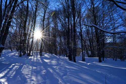 Winterlandschaft