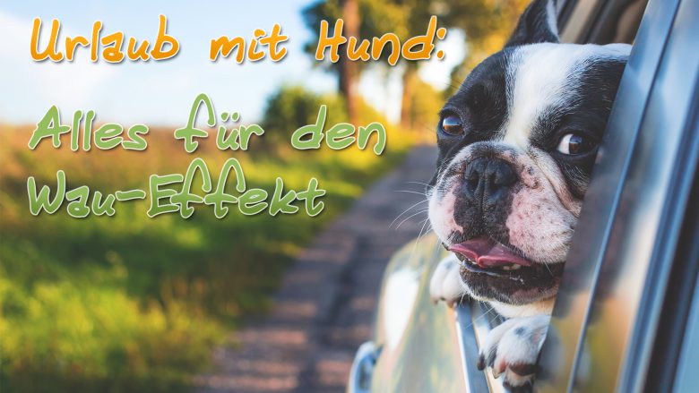 Urlaub mit Hund und smartvie