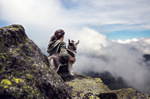 In die Berge mit Hund