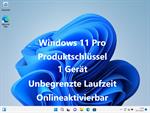 microsoft-windows-11-pro-oem-produktschluessel-key-1-geraet-unbegrenzte-laufzeit-onlineaktivierbar-6006267-1.png
