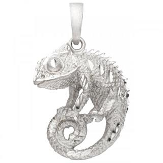 anhaenger-chamaeleon-925-sterling-silber-matt-silberanhaenger-6016531-1.jpg