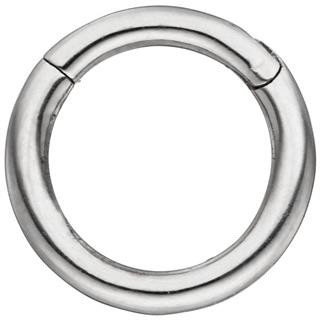 segmentring-aus-edelstahl-mit-klick-system-scharnier-ringstaerke-12-mm-6017717-1.jpg