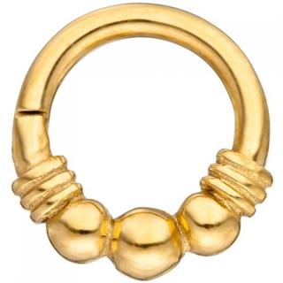 segmentring-edelstahl-gold-farben-klick-system-scharnier-ringstaerke-12-mm-5905998-1.jpg