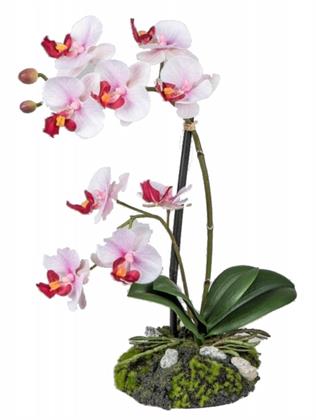 wunderschoene-orchidee-auf-sandsockel-rosa-31-cm-2932378-1.jpg