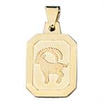 anhaenger-sternzeichen-steinbock-333-gelbgold-matt-2434003-1.jpg