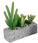 deko-kaktus-im-grauen-steintopf-19x5-cm-3419492-1.jpg