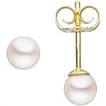 ohrstecker-585-gold-gelbgold-2-akoya-perlen-4-mm-6016821-1.jpg