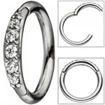 segmentring-edelstahl-mit-swarovski-elements-scharnier-ringstaerke-12-mm-5906040-1.jpg