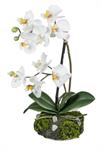 wunderschoene-orchidee-auf-sandsockel-weiss-31-cm-2932521-1.jpg