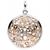 anhaenger-925-sterling-silber-bicolor-vergoldet-22-zirkonia-5910568-1.jpg