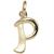 anhaenger-buchstabe-p-375-gold-gelbgold-buchstabenanhaenger-5703890-1.jpg
