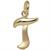 anhaenger-buchstabe-t-375-gold-gelbgold-buchstabenanhaenger-5704341-1.jpg