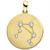 anhaenger-sternzeichen-waage-333-gold-gelbgold-matt-7-zirkonia-goldanhaenger-4963213-1.jpg