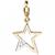 einhaenger-charm-stern-375-gelbgold-bicolor-1-zirkonia-sternanhaenger-5703497-1.jpg