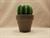 kerze-kaktus-im-topf-2439707-1.jpg