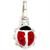kinder-anhaenger-marienkaefer-rot-925-sterling-silber-kinderanhaenger-5866690-1.jpg
