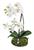 wunderschoene-orchidee-auf-sandsockel-weiss-31-cm-2932521-1.jpg