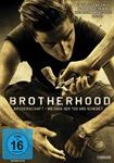 broperhood-dvd-5903446-1.jpg