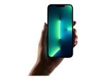 apple-iphone-13-pro-max-1tb-silver-mlll3zda-5936333-1.jpg