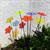 5x-grosse-sonnenfaenger-suncatcher-garten-dekoration-h75cm-a15cm-blossom-bunt-5960358-1.jpg