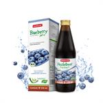 medicura-bio-heidelbeer-100-fruchtsaft-330-ml-glasflasche-2333376-1.jpg