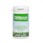 medicura-chitosan-60-kapseln-2333675-1.jpg
