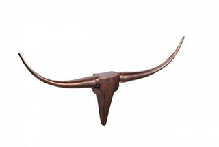 moebel-lux/pd/wanddekoration-geweih-bull-s-75-cm-aluminium-bronze-5827576-3.jpg