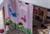 benimodam-myhouse-vorhang-set-pink-6010094-4.jpg