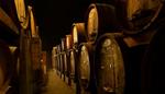 inu-cannonau-di-sardegna-doc-riserva-kellerei-contini-cabras-075lt-1659721-1.jpg